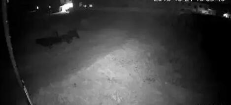 IPC網(wǎng)絡(luò)攝像頭雙槍圖